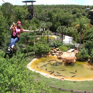 Veranstaltung: Gatorland Orlando: Screamin' Gator Zip Line, Gatorland Orlando in Orlando