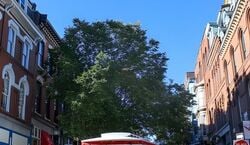 Event: Discover Portland City and Lighthouse Tour, 94 Commercial St in Portland