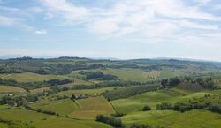 Veranstaltung: Chianti: degustazione di vino e olio d'oliva con tour guidato + viaggio di andata e ritorno da Firenze, Chianti Wine Tours in Florence