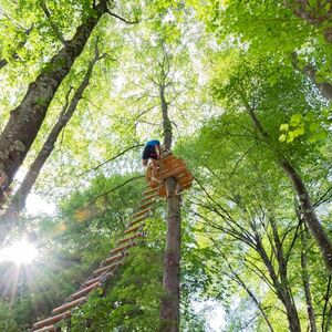 Veranstaltung: Accesso giornaliero al Parco Avventura del Lago di Como, Lake Como Adventure Park in Como