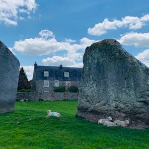 Veranstaltung: Stonehenge & Stone Circles of Avebury: Guided Day Trip from London, Stonehenge & Bath Tours from London in London