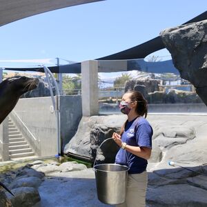 Veranstaltung: Aquarium of the Pacific: Membership Voucher, Aquarium of the Pacific in Los Angeles