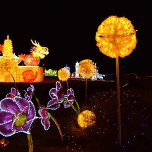 Veranstaltung: Light Park Tenerife, Chinese Lantern World: Light Show Tenerife in Tenerife