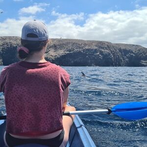 Veranstaltung: Los Cristianos: Guided Kayak Tour, Tenerife Water Activities in Tenerife