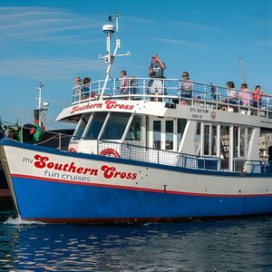 Veranstaltung: Half Hour Seal and Harbour Cruise from Cape Town, Waterfront Boat Tours in Cape Town