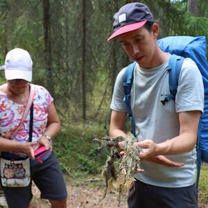 Veranstaltung: Helsinki: Magical Taiga Forest Hike, Day Trips from Helsinki in Helsinki