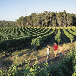 Veranstaltung: Margaret River, Mammoth Caves & Cape Leeuwin Lighthouse: Guided Tour + Lunch, Cape Leeuwin Lighthouse in Augusta