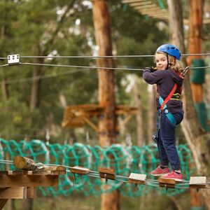 Veranstaltung: Treetops Adventure: St Ives, Treetops Adventure St Ives in St. Ives