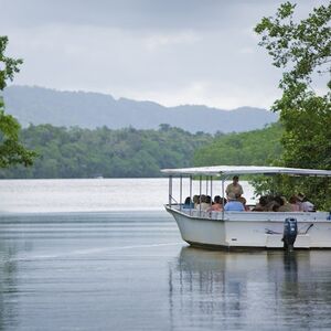 Veranstaltung: Cape Tribulation, Daintree & Mossman: Day Tour from Cairns and Port Douglas, Daintree Rainforest in Cape Tribulation