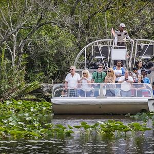 Veranstaltung: Everglades: Airboat Ride, Wildlife Show & Roundtrip Transport from Miami, Miami Everglades Airboat Tours in Miami