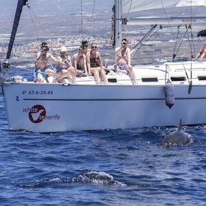 Veranstaltung: Tenerife: Excursión de 3 horas en velero para avistar ballenas y delfines con bocadillo y bebidas, Tenerife Sailing Tours in Costa Adeje