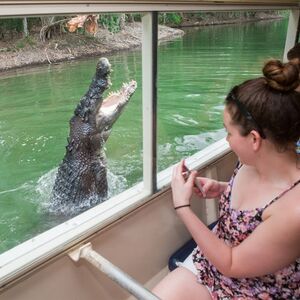 Veranstaltung: Hartley's Crocodile Adventures: Roundtrip from Cairns, Hartley's Crocodile Adventures in Wangetti