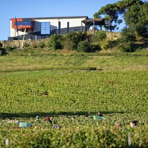 Veranstaltung: Château La Croizille : visite guidée + dégustation de vin, Château La Croizille in Saint-Laurent-des-Combes