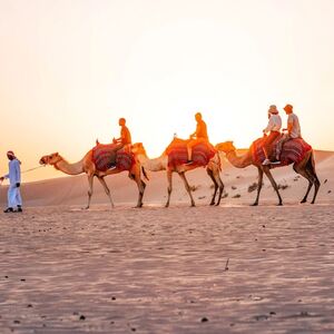 Veranstaltung: Abu Dhabi: Sunrise Desert Safari Tour + Roundtrip Transfer, Abu Dhabi Desert Safari in Abu Dhabi