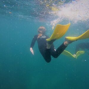 Veranstaltung: Guided Snorkel Experience, Advanced, imagine beach road in Leigh