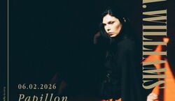 Event: A.A. Williams, Papillon in Southampton
