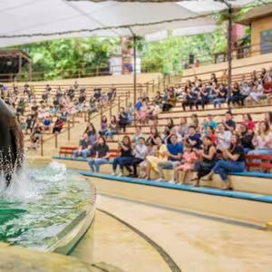 Veranstaltung: Singapore Zoo: Entry Ticket, Singapore Zoo in Singapore