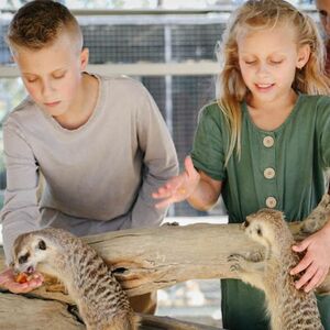 Veranstaltung: Hunter Valley Wildlife Park: Entry Ticket, Hunter Valley Wildlife Park in Cessnock