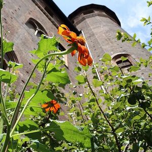 Veranstaltung: Palazzo Madama: Biglietto saltafila, Palazzo Madama in Torino