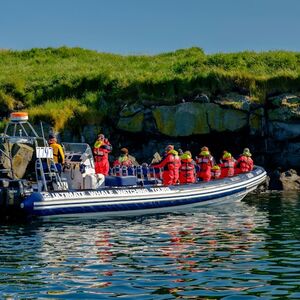 Veranstaltung: Whale Watching: Tour with Puffins Watching from Reykjavik, Iceland Whale Watching in Reykjavík