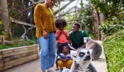 Event: London Zoo: Entry Ticket, London Zoo in London