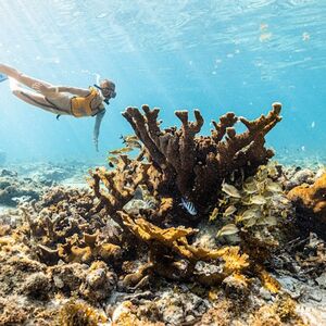 Veranstaltung: Cancún: Excursión de snorkel 5 en 1, Cancún Water Sports in Cancún