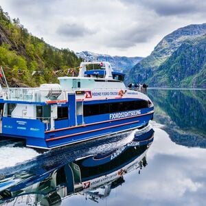 Veranstaltung: Bergen: Full-Day Fjord Cruise, Historic City Tour, & Fløien Funicular, Bergen Day Trips in Bergen