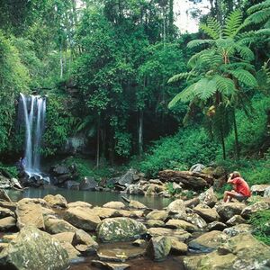 Veranstaltung: Tamborine Mountain: Hop-on Hop-off Bus from Brisbane, Hop-on Hop-off Tours Brisbane in Brisbane