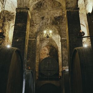 Veranstaltung: Montepulciano: Tour di degustazione in due cantine storiche, Siena Wine Tasting in Siena