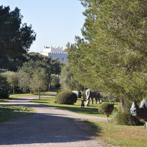 Veranstaltung: Museo Sa Bassa Blanca: Entrada sin colas, Museu Sa Bassa Blanca in Alcúdia