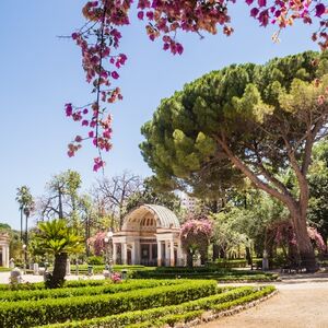 Veranstaltung: Orto Botanico di Palermo: Biglietto d'ingresso, Palermo Botanical Garden in Palermo