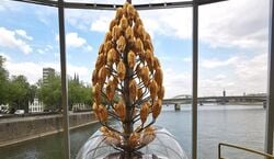 Event: Skip-the-Line-Schokoladenmuseum und geführte Tour durch die Altstadt, in Cologne