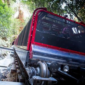 Veranstaltung: Blue Mountains Sydney: Hop-on Hop-off Bus + Scenic World Unlimited Rides Pass, Scenic World in Katoomba