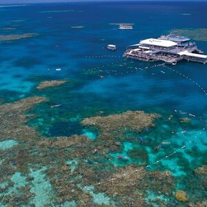 Veranstaltung: Outer Reef Cruise and Activity Platform from Port Douglas, Agincourt Reefs in Port Douglas