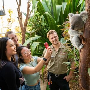 Veranstaltung: Wild Life Sydney Zoo: Guided Tour, WILD LIFE Sydney zoo in Sydney