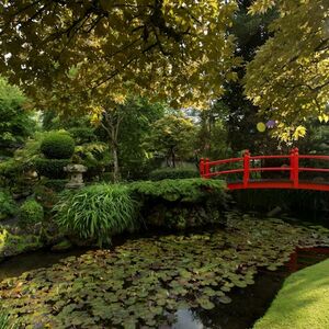 Veranstaltung: Irish National Stud & Gardens: Entry Ticket, Irish National Stud & Gardens in County Kildare