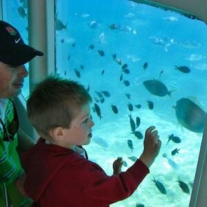 Veranstaltung: Santa Ponsa: Excursión de 3 horas en barco para avistar delfines, Mallorca Boat Trips in Palma de Mallorca