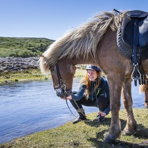 Veranstaltung: Horseback Riding with Icelandic Horses through the Lava Fields of Hafnarfjörður, Iceland Adventure Tours in Reykjavík