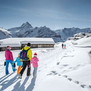 Veranstaltung: Funicular Ride: Firstbahn on Grindelwald First - Top of Adventure, Day Trips From Grindelwald in Grindelwald