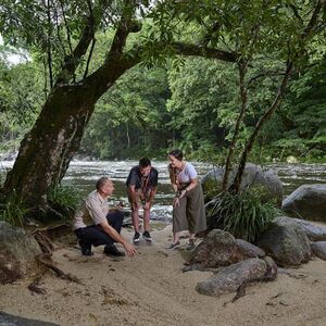 Veranstaltung: Cape Tribulation, Daintree & Mossman: Day Tour from Cairns and Port Douglas, Daintree Rainforest in Cape Tribulation