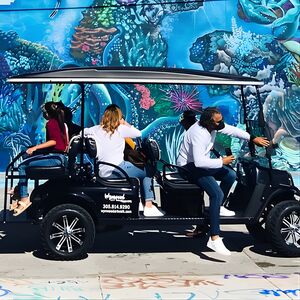 Veranstaltung: Small-Group Brewery Golf Cart Tour of Wynwood with a Local Guide, 1854 SW 8th St in Miami