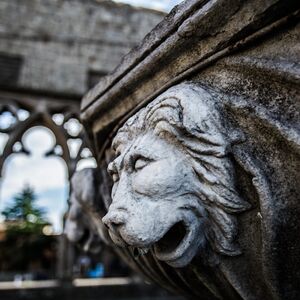 Veranstaltung: Viterbo Pass, Palace of the Popes of Viterbo in Viterbo