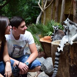 Veranstaltung: Jungle Park: Entrada, Jungle Park in Arona