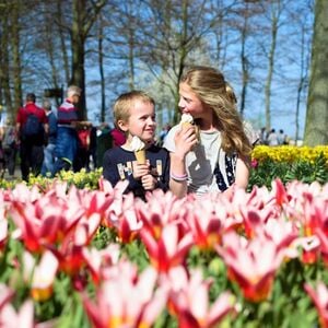 Veranstaltung: Keukenhof: Entry + Return Bus Transfer from A’dam Tower, Keukenhof in Lisse