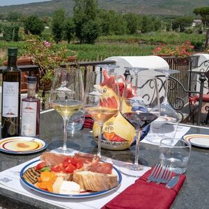 Veranstaltung: Vesuvio: Tour dei vigneti + degustazione di vini e pranzo, Mount Vesuvius in Ercolano