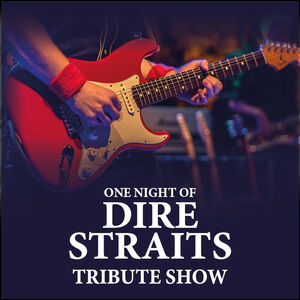 Veranstaltung: One Night of Dire Straits - Tribute Show - ´30 years later´ Tour, Stadttheater Emmerich in Emmerich am Rhein