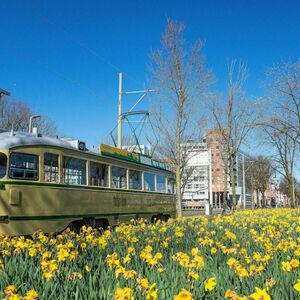 Veranstaltung: Hop-on Hop-off Tourist Tram, The Hague Bus Tours in The Hague