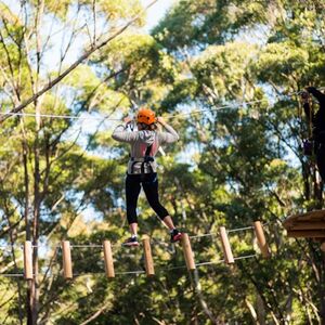 Veranstaltung: Coffs Harbour: Treetops Adventure, Treetops Adventure Coffs Harbour in Coffs Harbour