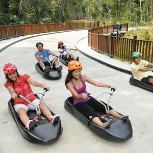 Veranstaltung: Skyline Luge Sentosa: Entry Ticket, Skyline Luge Sentosa in Singapore