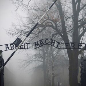 Veranstaltung: Auschwitz-Birkenau: Self-Guided Tour + Transport, Auschwitz-Birkenau in Oświęcim